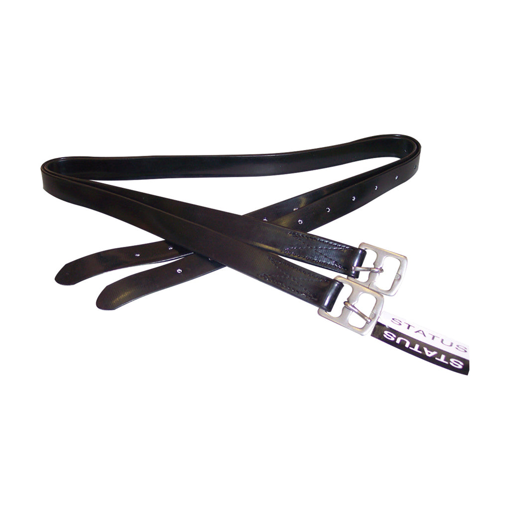 Leathers Stirrup Pvc Status 48