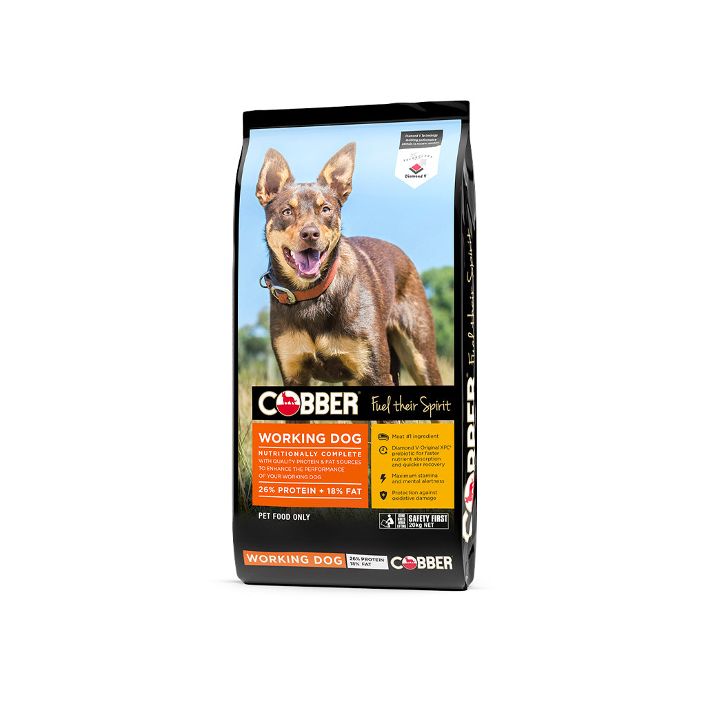 Cobber Working Dog 20 Kilo