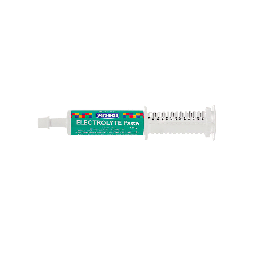 Electrolyte Paste Vetsense 60ml