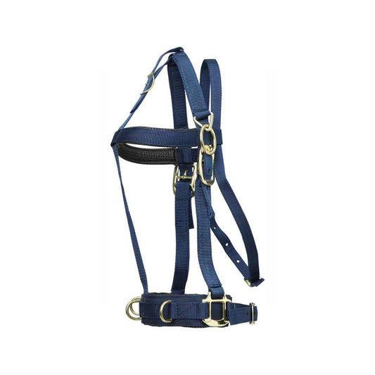 Lunging Halter Deluxe Navy Cob/full