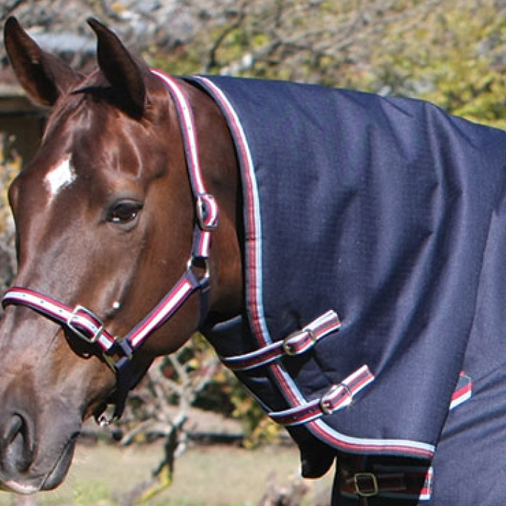 Defender Neck Rug Medium 1200D