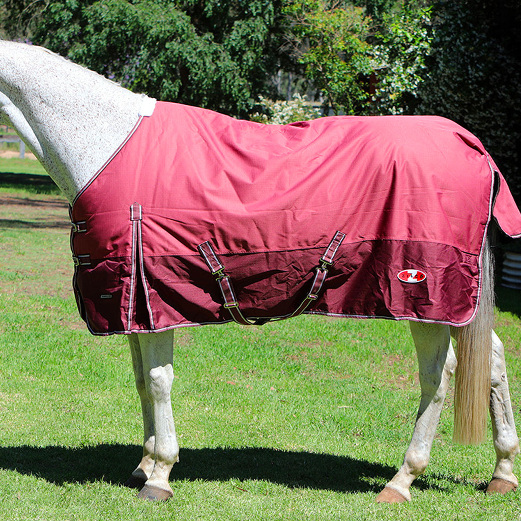 Explorer 200 Gram 600 Denier Rug