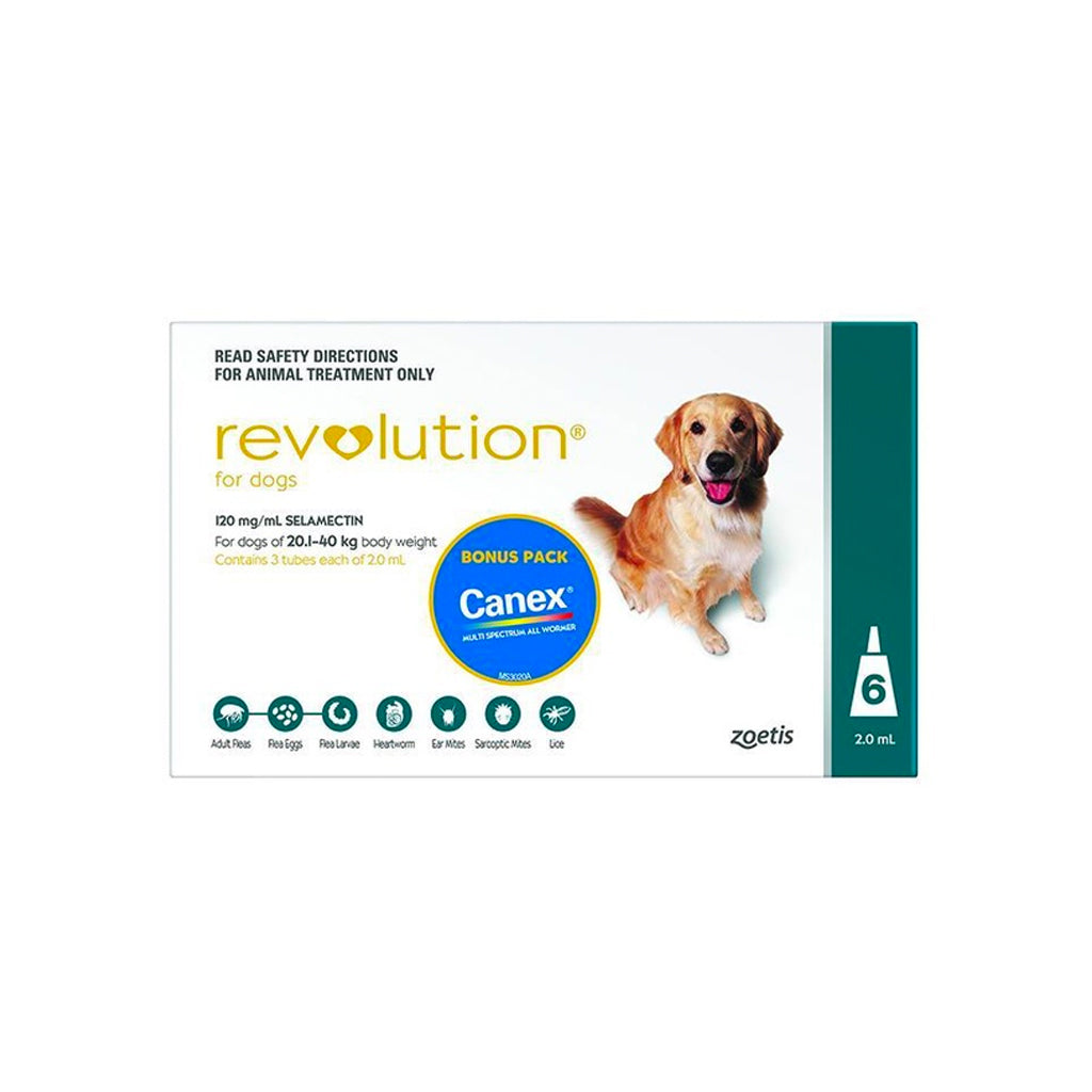 Revolution Dog 6 Pack