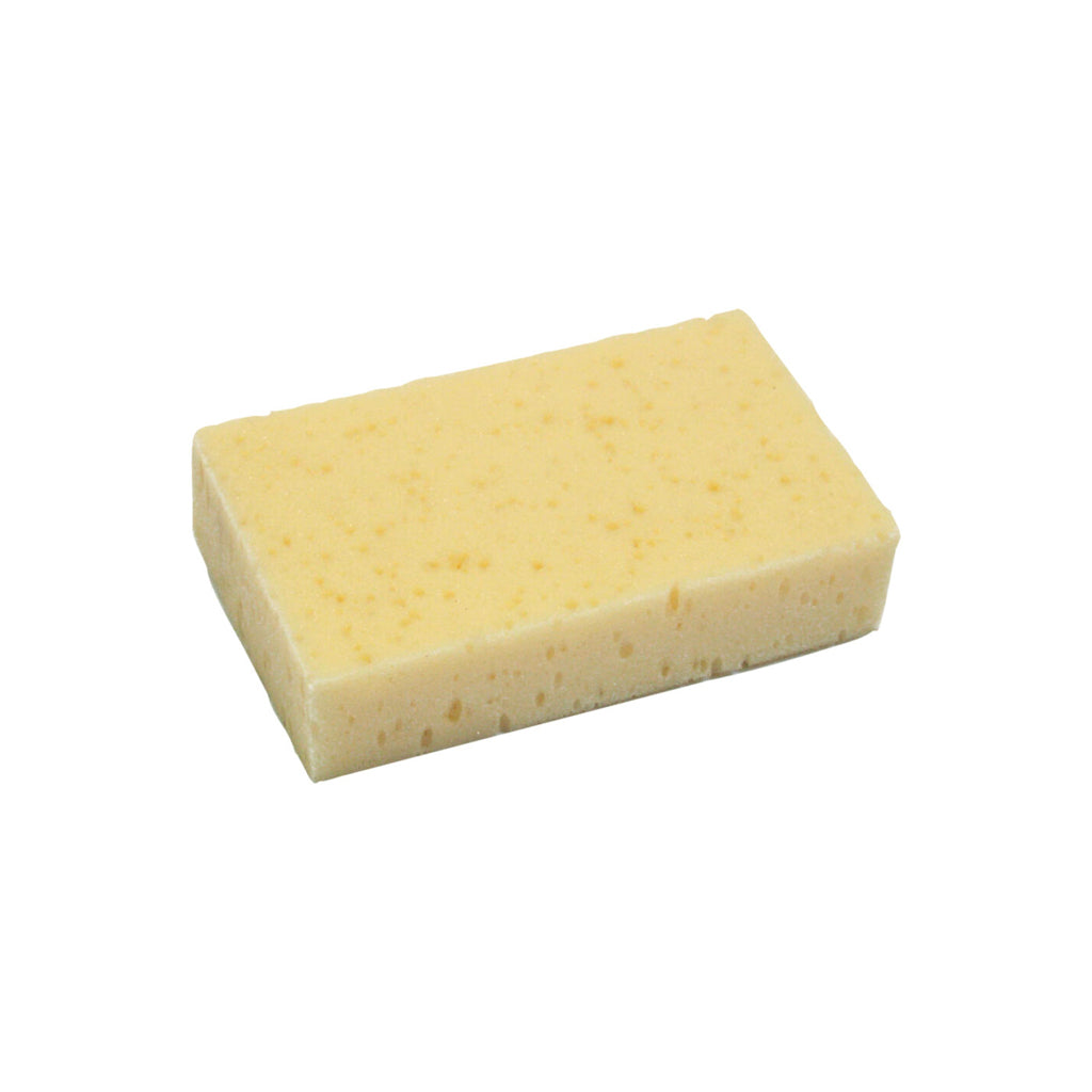 Sponge Grooming
