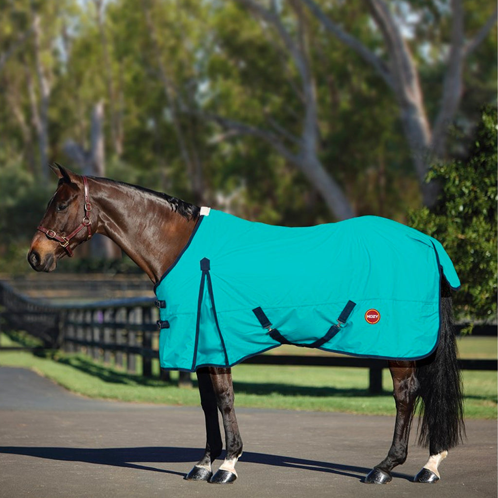 Kozy Nylon 600d Rug