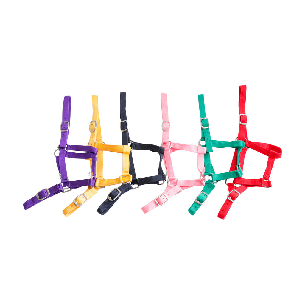 Halter Eureka