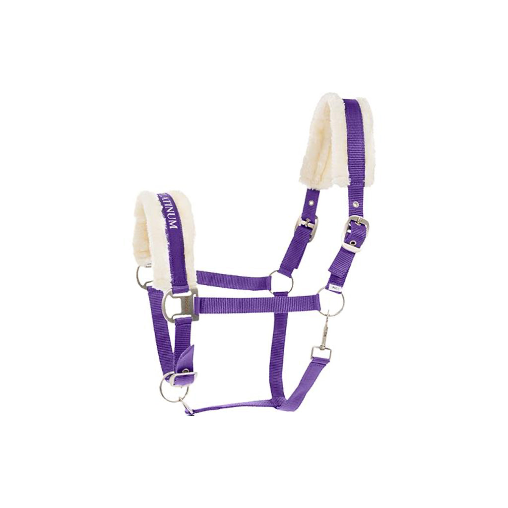 Halter Howard