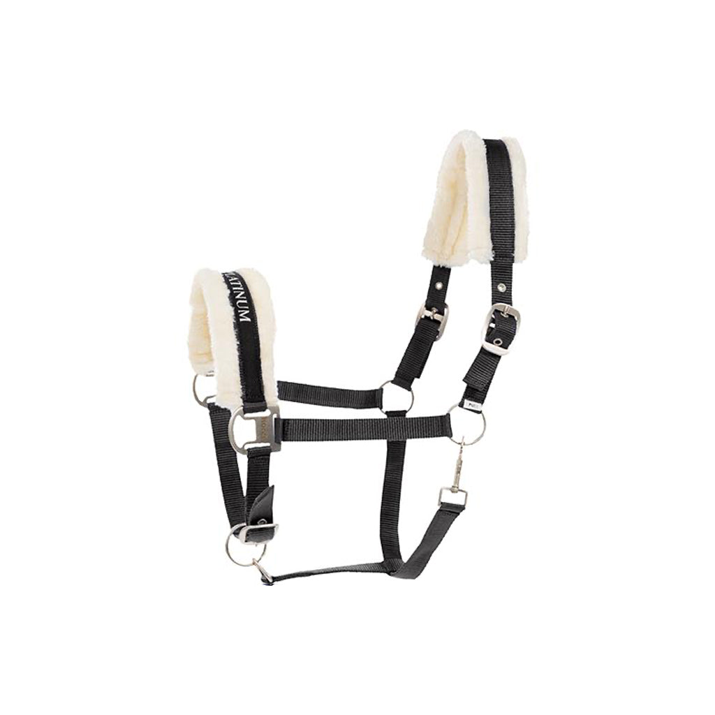 Halter Howard