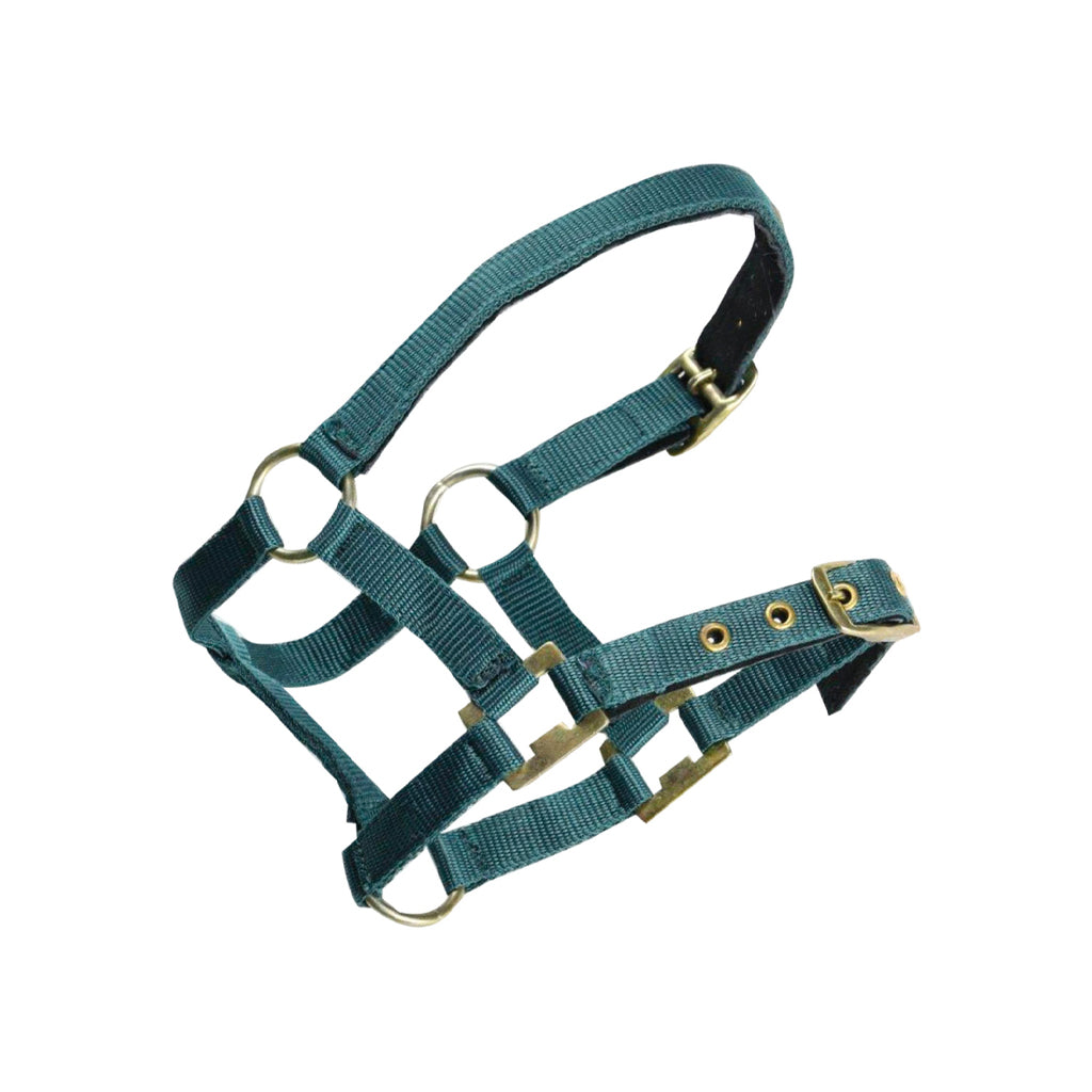 Halter Nylon Mini