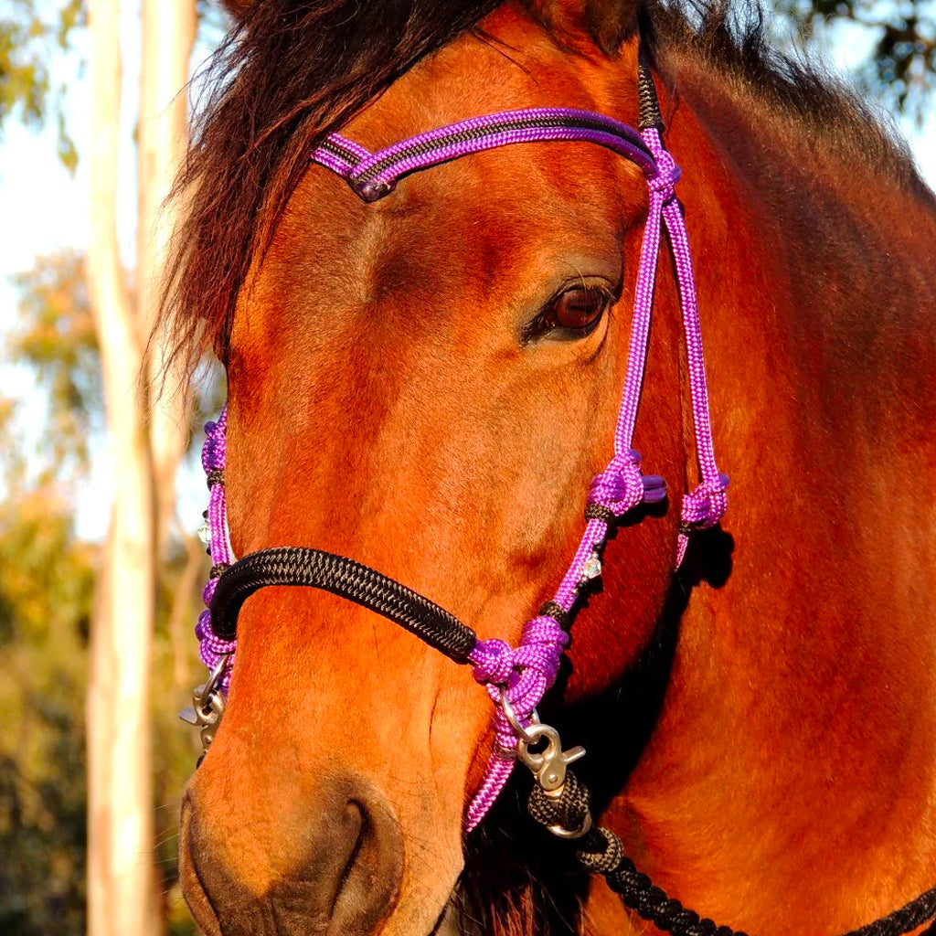 Bridle Bitless Rope Ring Pull Assorted Colour