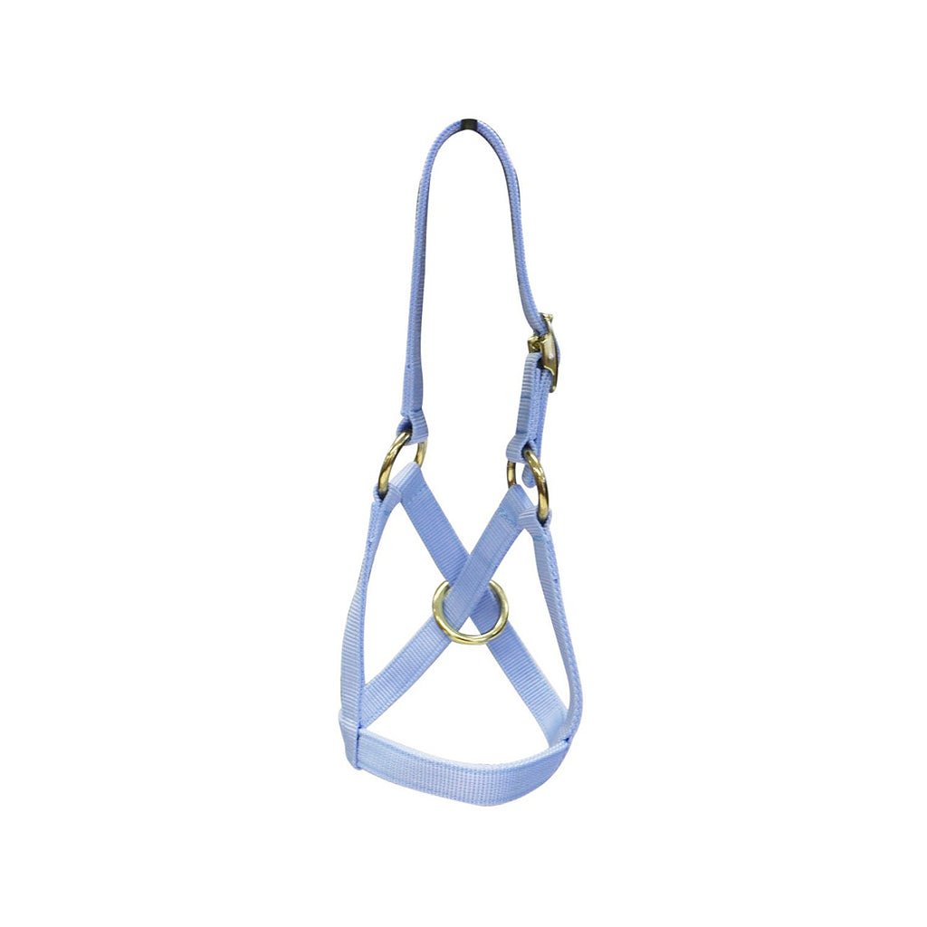 Alpaca Halter/lead Set Large P Pink