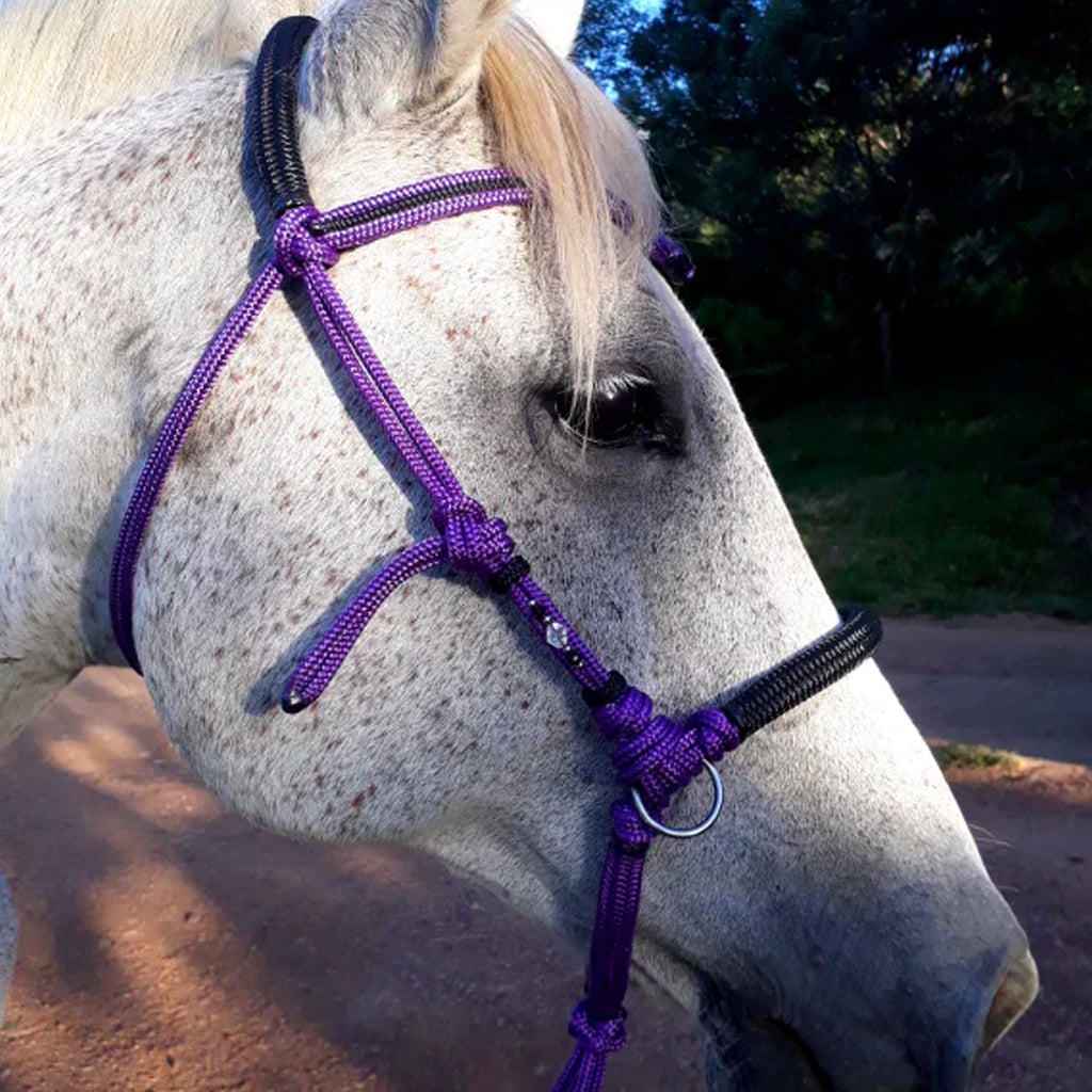 Bridle Bitless Rope Ring Pull Assorted Colour