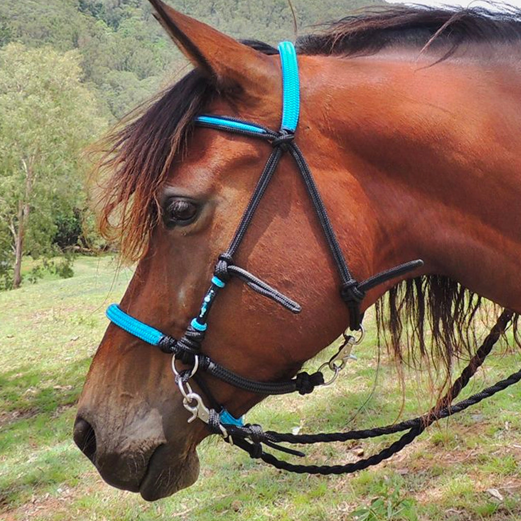 Bridle Bitless Rope Ring Pull Assorted Colour