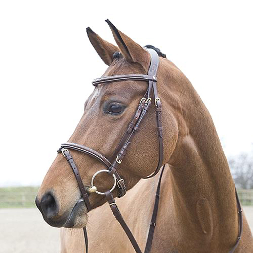 Bridle Constance