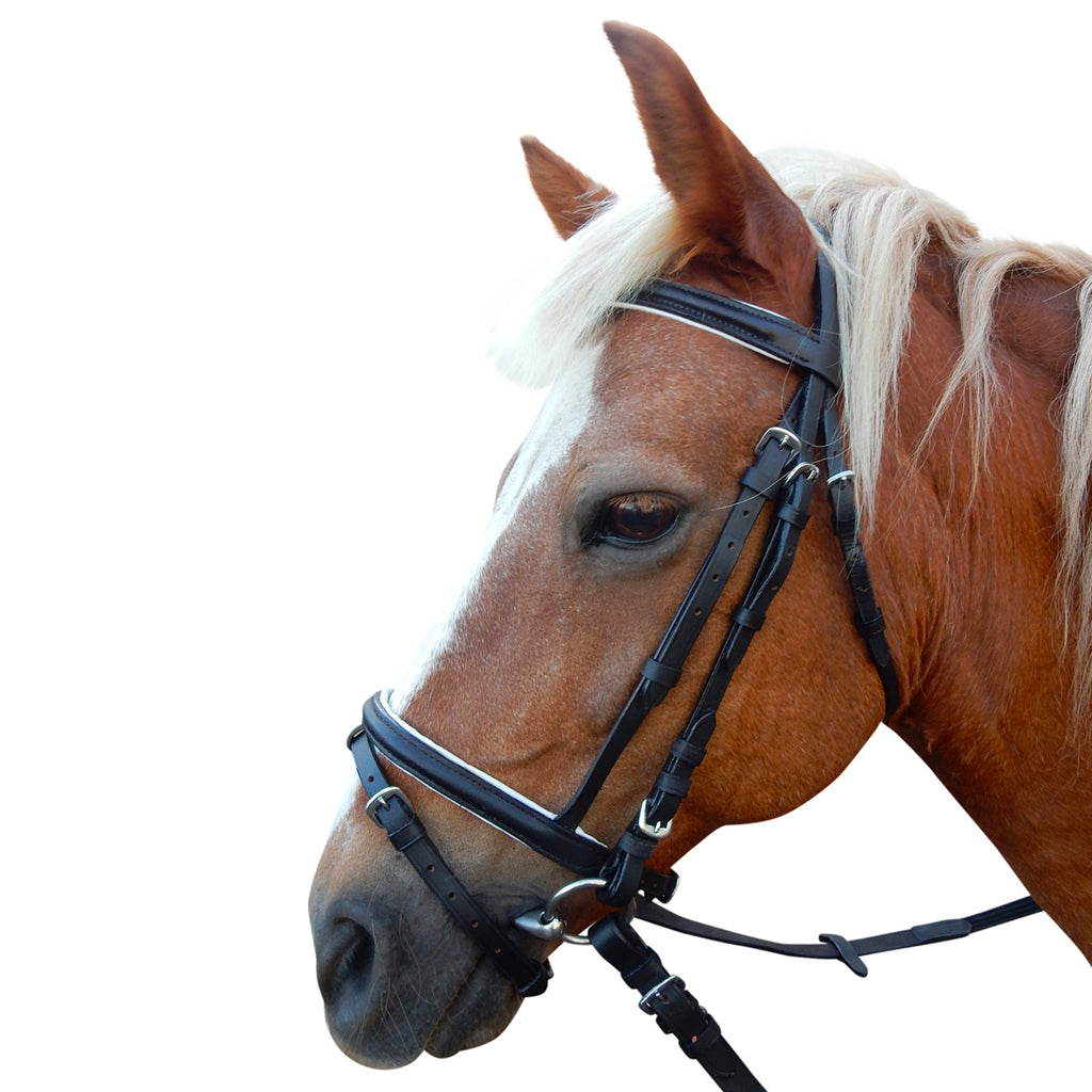 Bridle Eureka Event Hnb