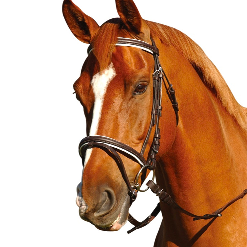 Bridle Eureka Event Hnb
