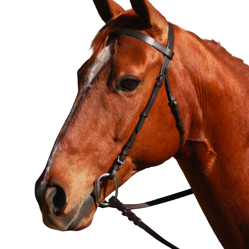 Bridle Eureka Plain Snaffle