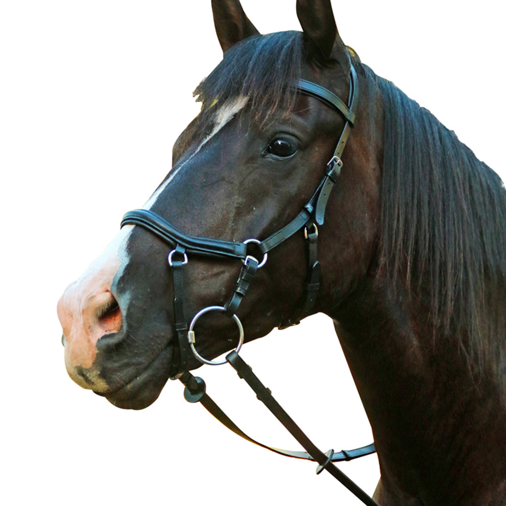 Bridle Mcalister Micklem