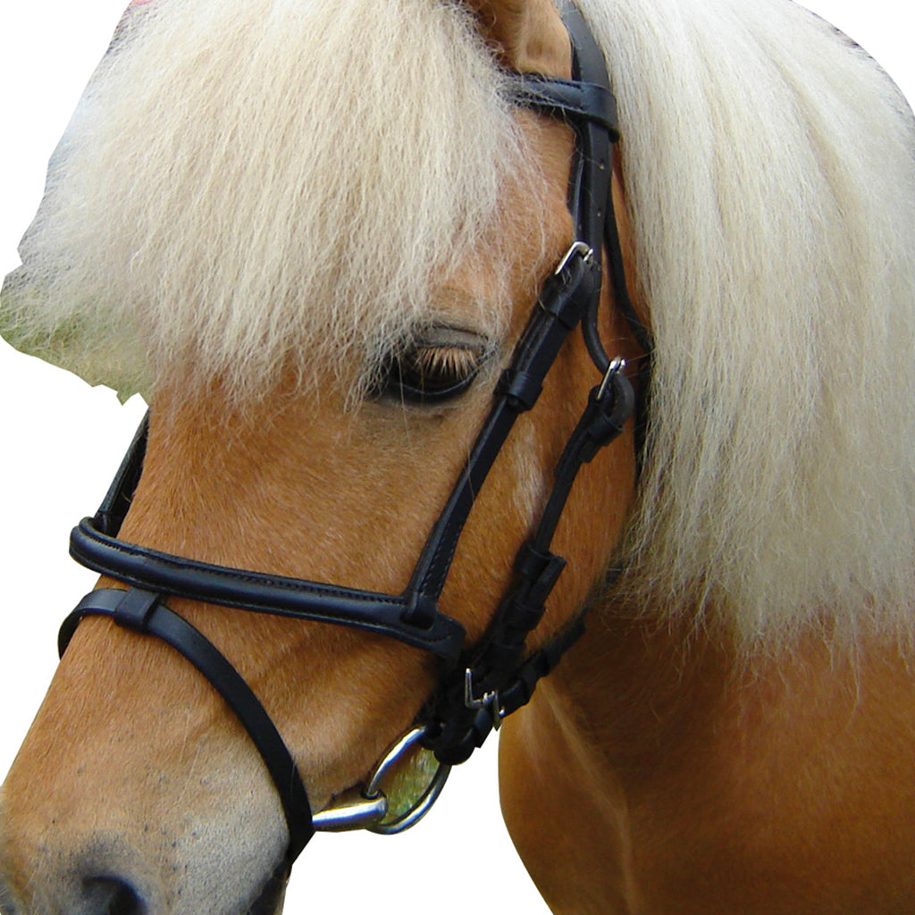 Bridle Miniature Black