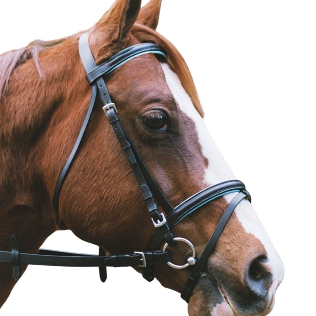 Bridle Retro