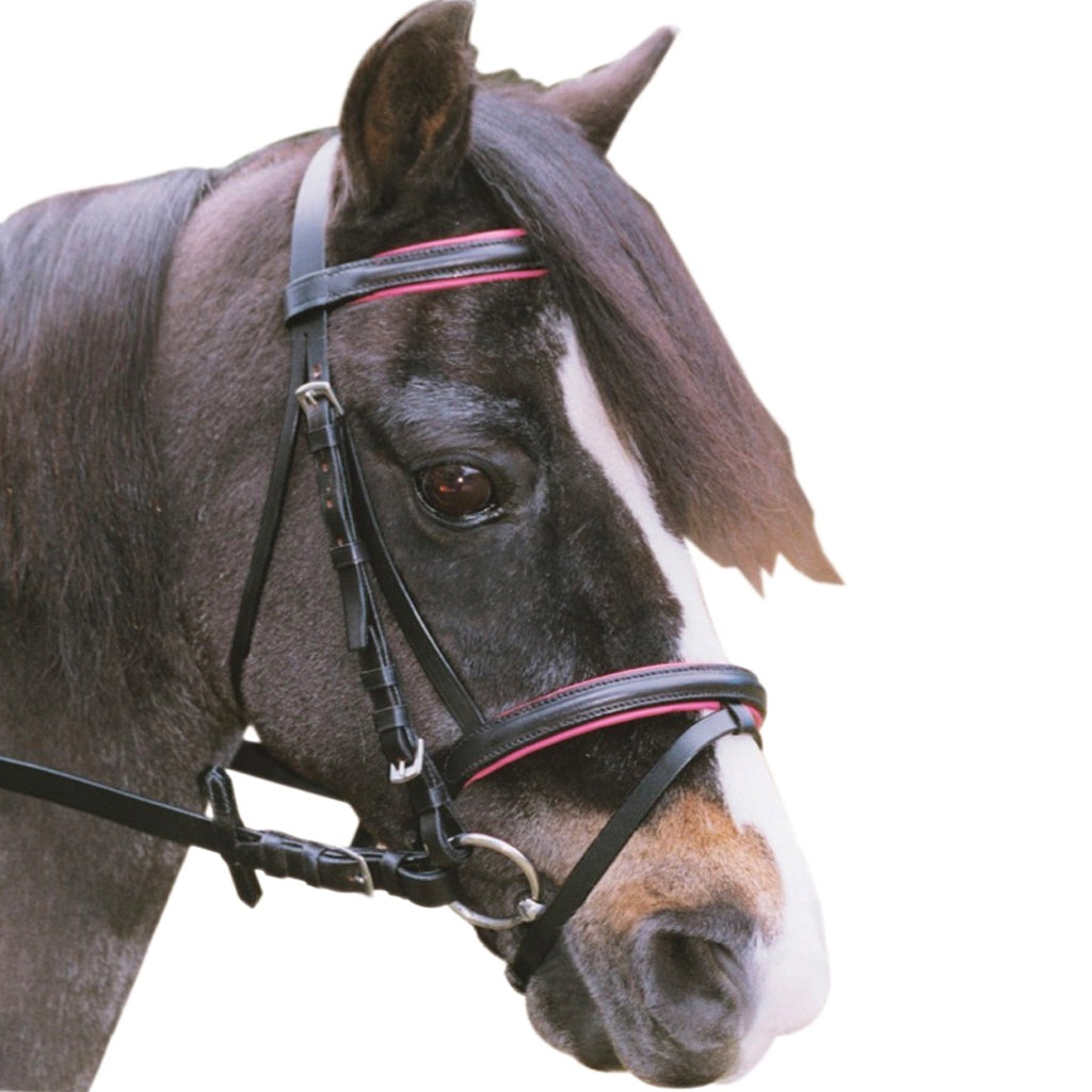 Bridle Retro