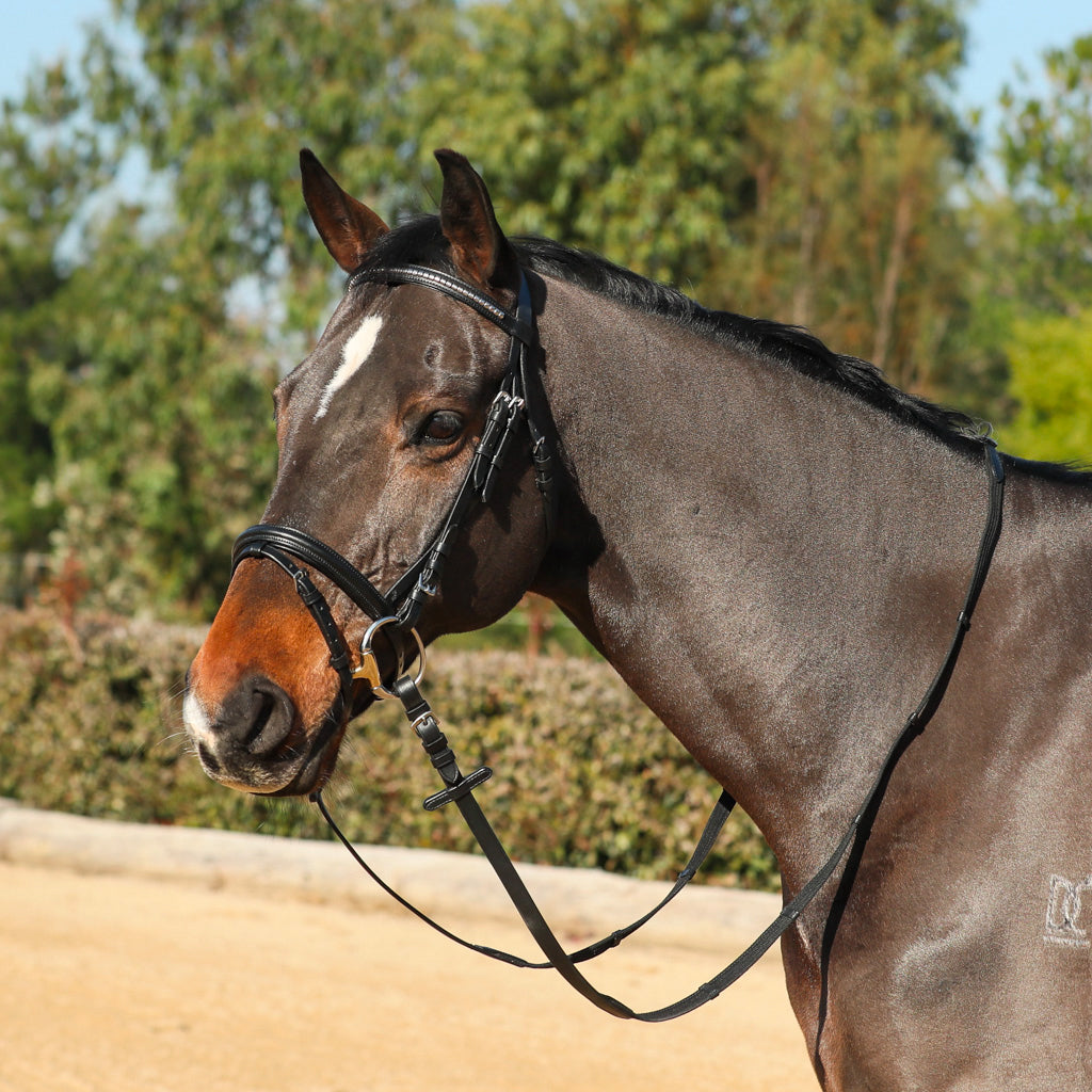 Bridle Showcraft Silver Clinch Black Full