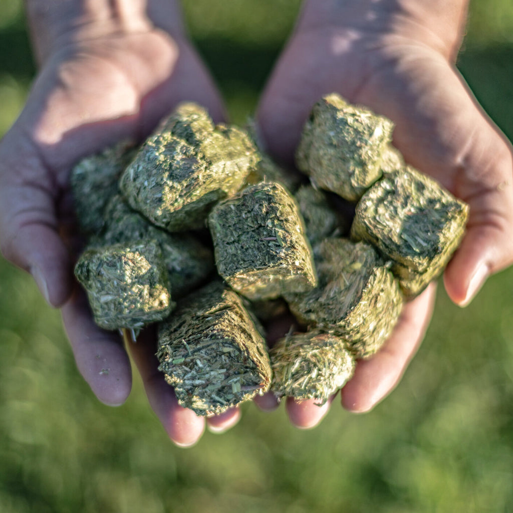 Multicube Lucerne/teff Hay Cube 20kg