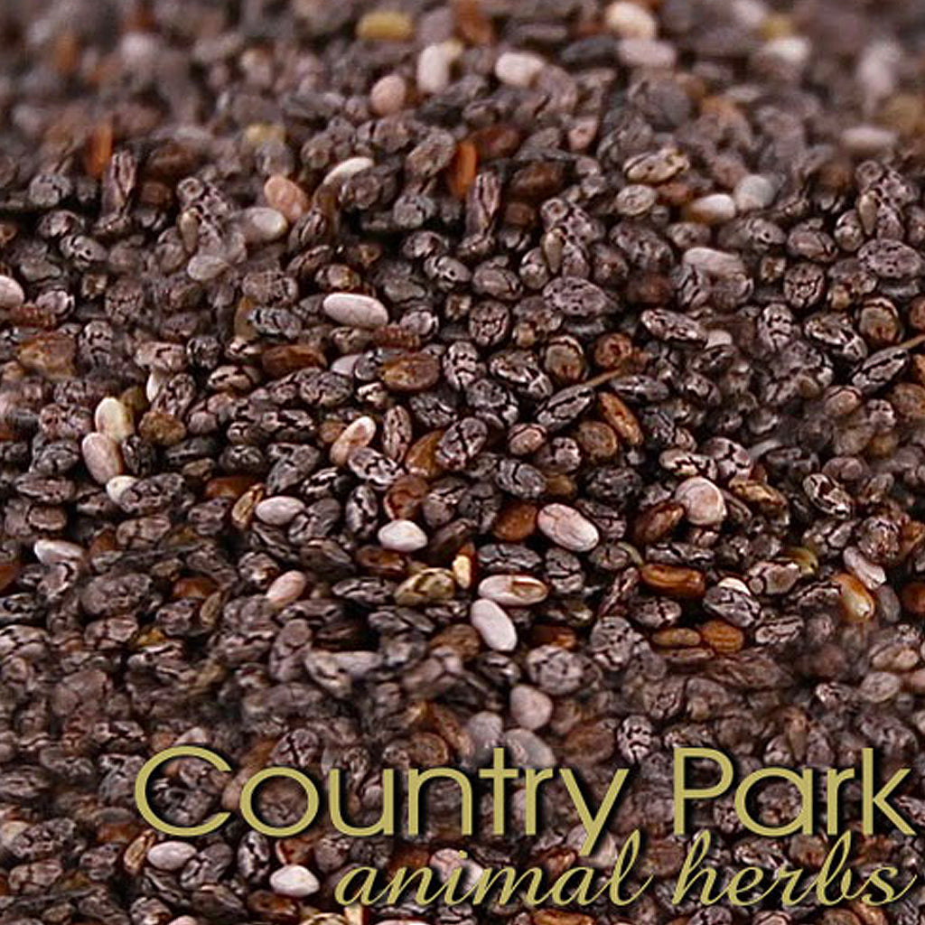 Chia Seeds Black 1kg