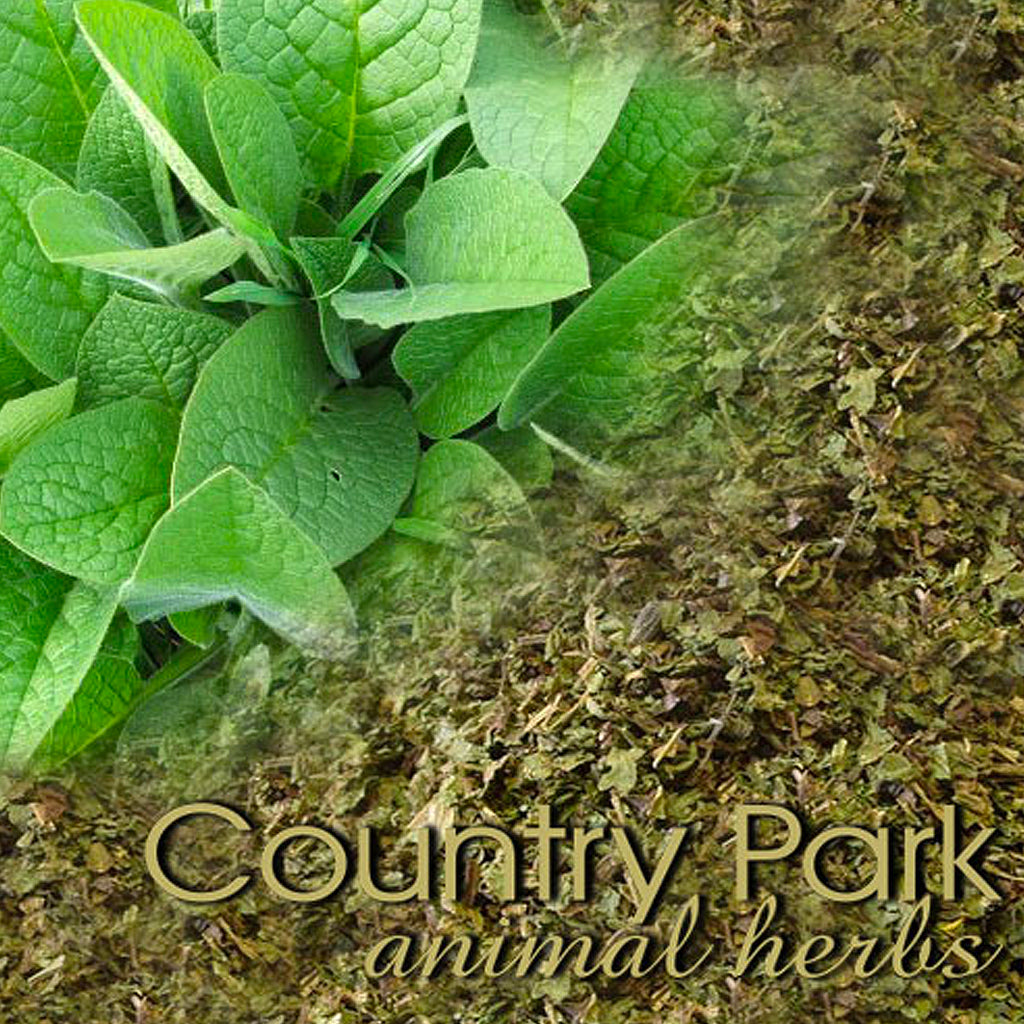 Comfrey Leaf