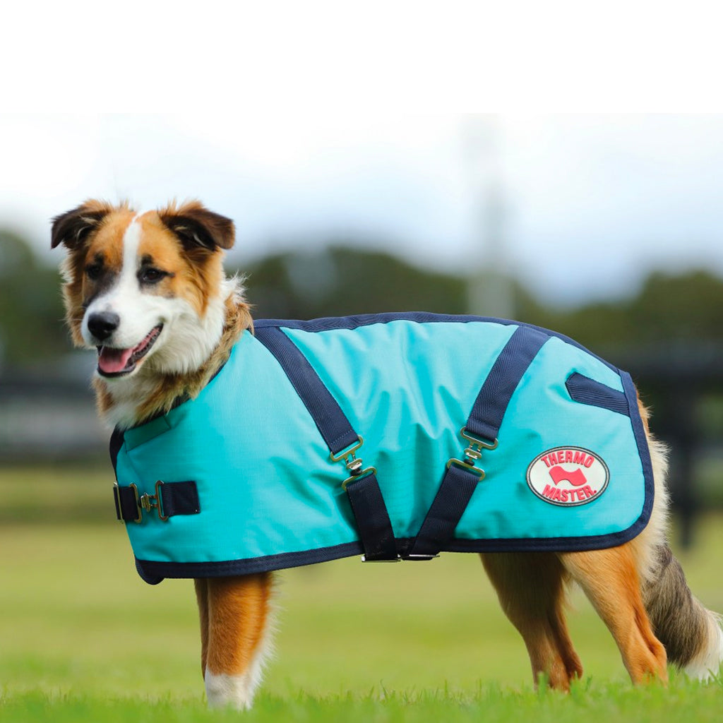 Supreme Dog Coat Teal/navy