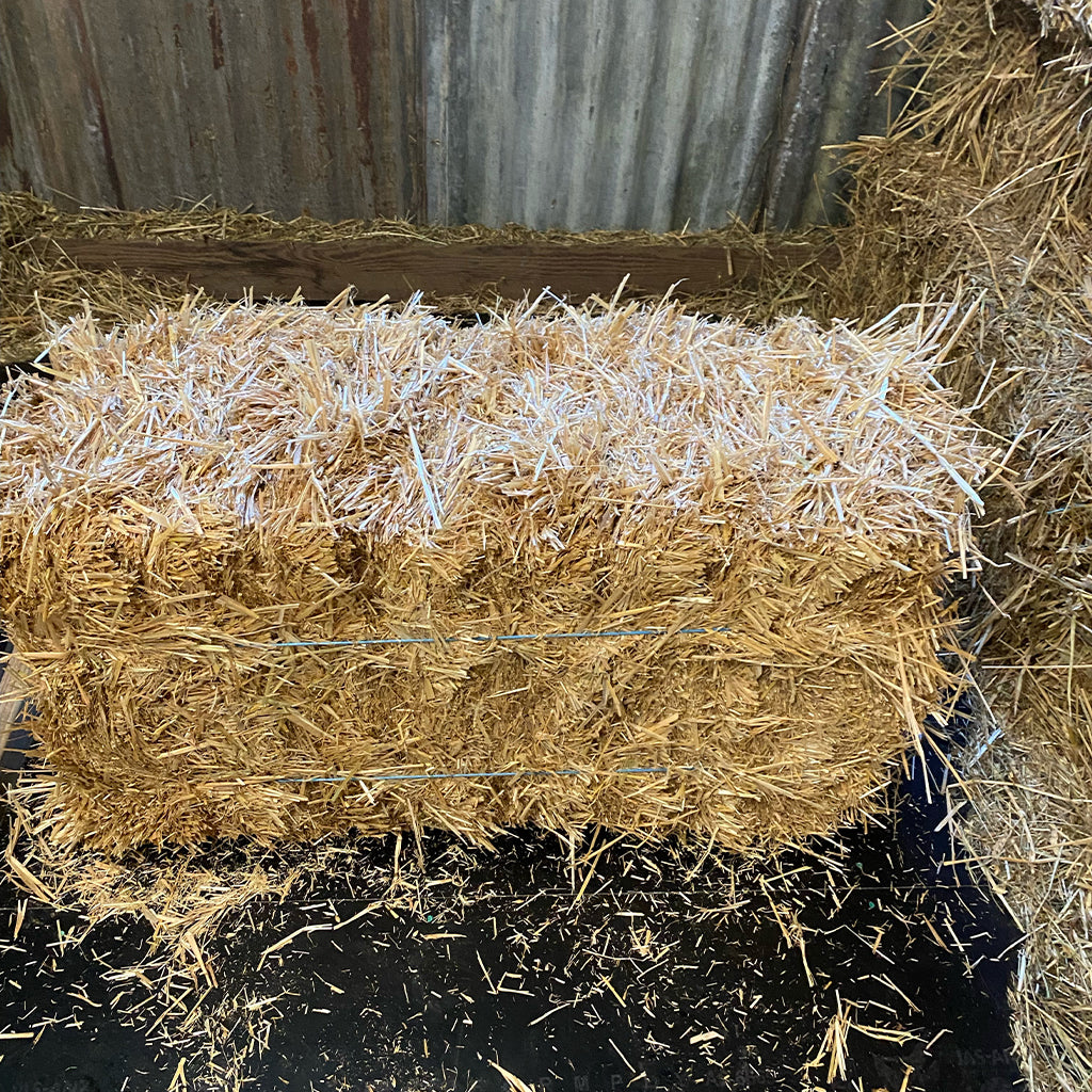 Straw Bedding Normal Bales