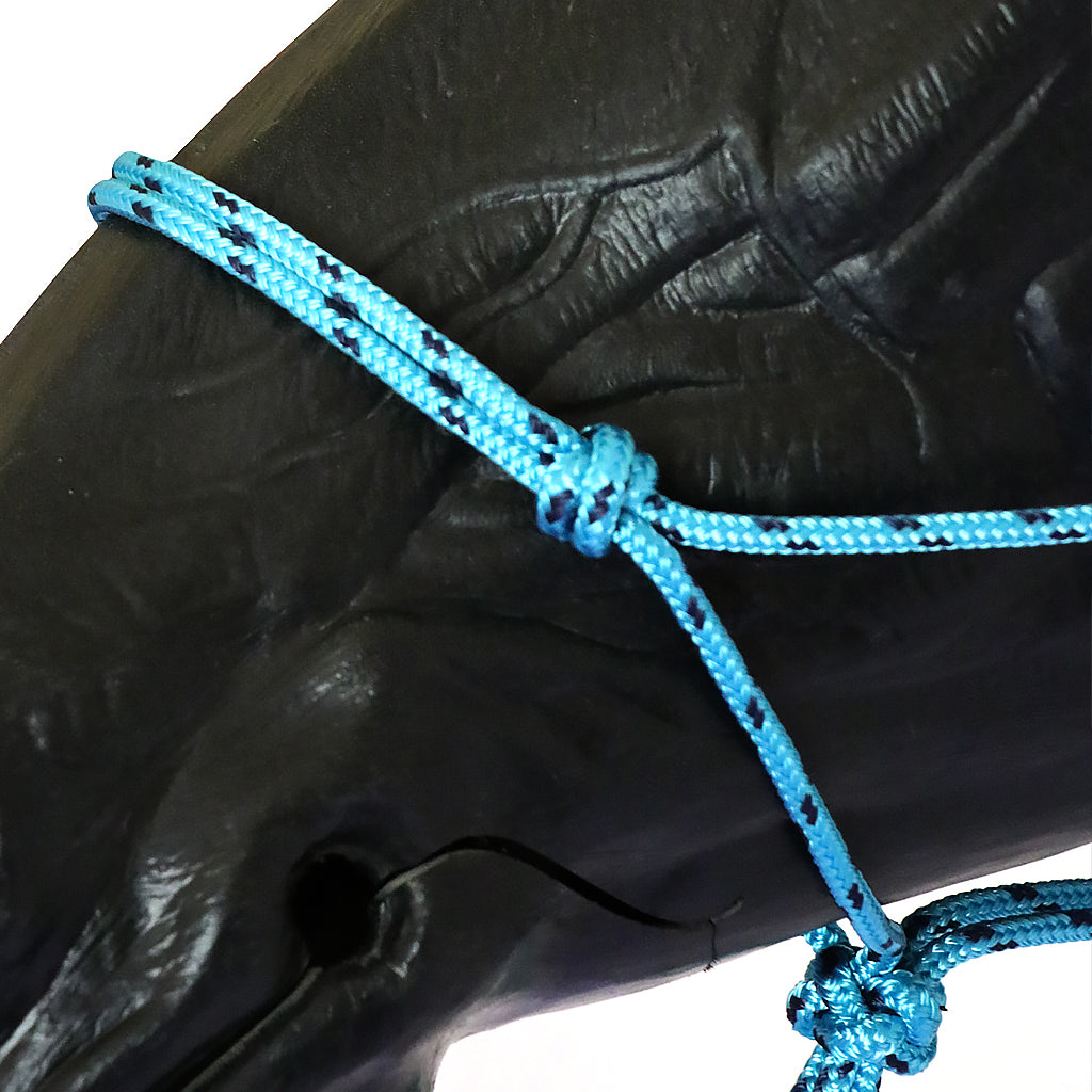 Halter Rope MPS Aqua/Navy