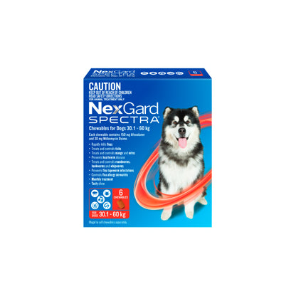 Nexgard Spectra Chew 6 Pack