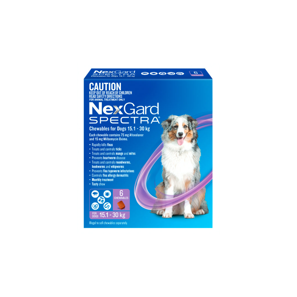 Nexgard Spectra Chew 6 Pack
