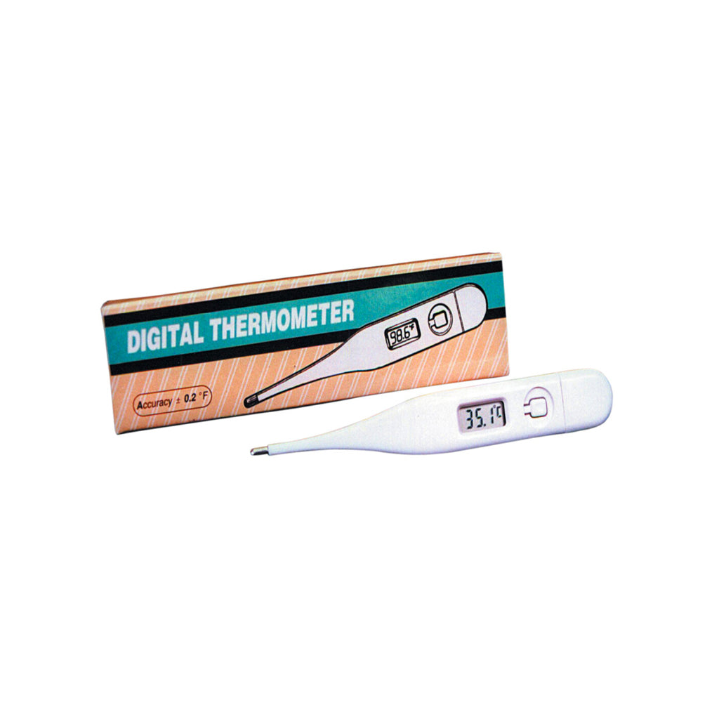 Digital Thermometer Electronic