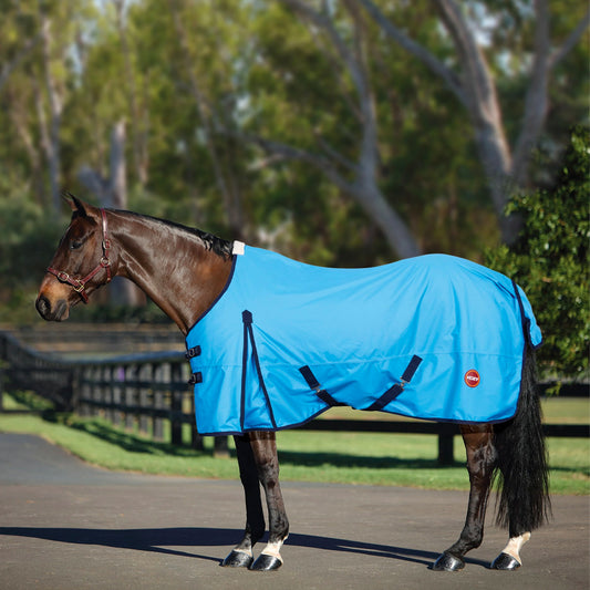 Kozy 600d Rug Blue 69