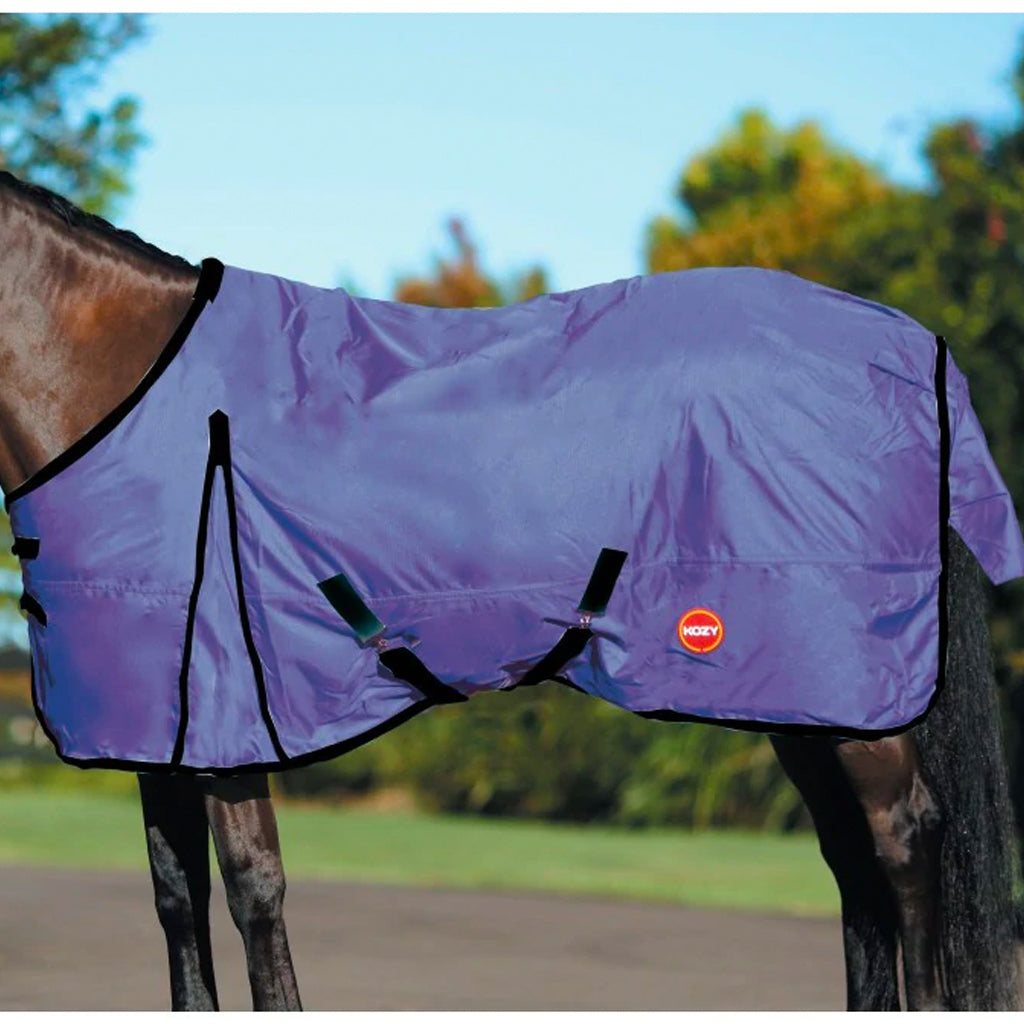 Kozy 600d Rug Blue 69