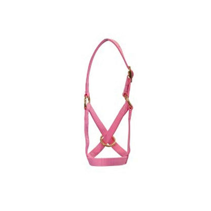 Alpaca Halter/lead Set Large P Pink