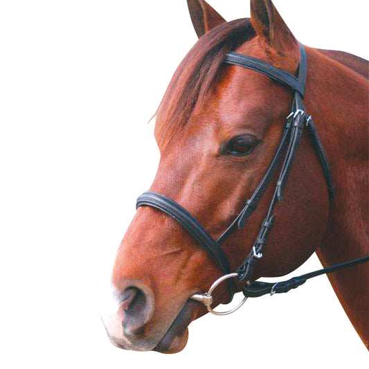 Bridle Snaffle Cavesson