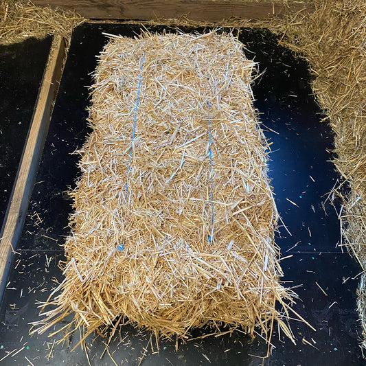 Straw Bedding Normal Bales