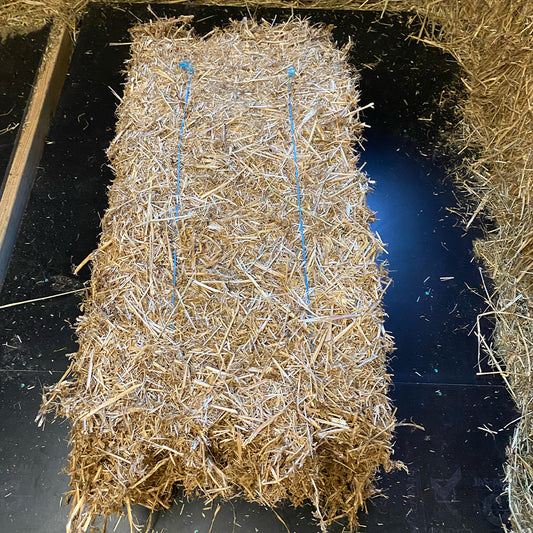 Straw Pea Normal Bales